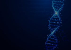 Wireframe DNA molecules structure mesh from a starry on blue background.